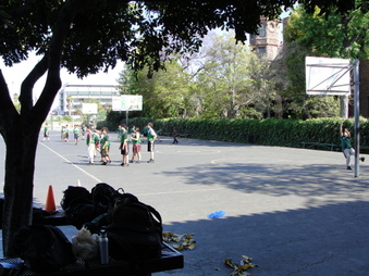Enlarge photo 25
