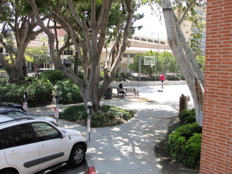 Enlarge photo 26