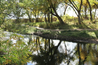 Mountain Biking Trails