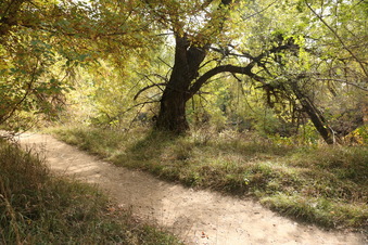 Enlarge photo 4