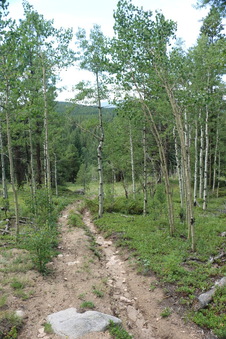 Enlarge photo 19