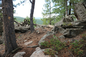 Enlarge photo 22
