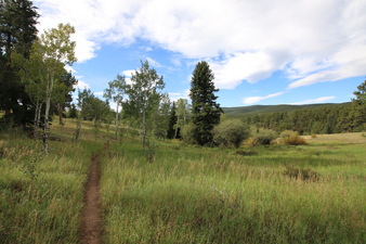 Enlarge photo 16