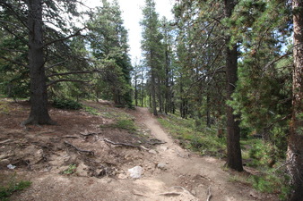 Enlarge photo 21