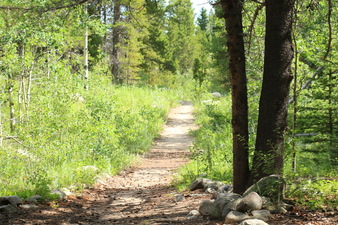 Enlarge photo 25