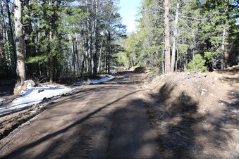 Enlarge photo 158