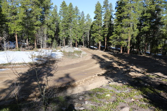 Enlarge photo 161