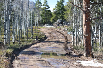 Enlarge photo 168
