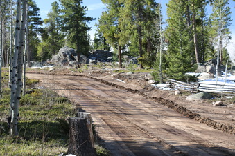 Enlarge photo 172