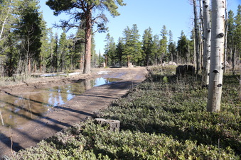 Enlarge photo 175