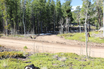 Enlarge photo 177