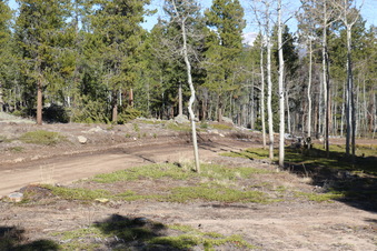 Enlarge photo 180