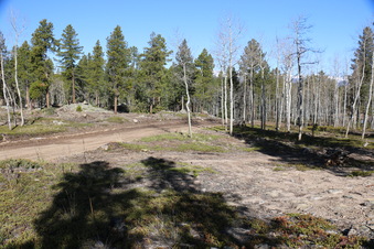 Enlarge photo 181