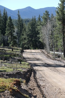 Enlarge photo 182