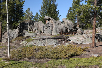 Enlarge photo 184