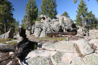 Enlarge photo 185