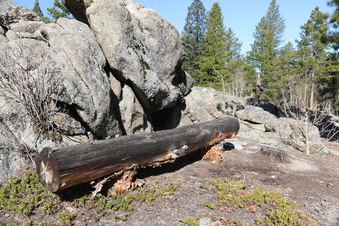 Enlarge photo 186