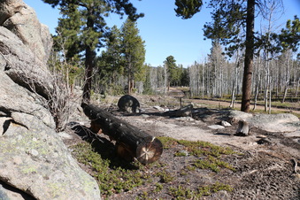 Enlarge photo 187