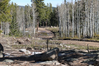Enlarge photo 188