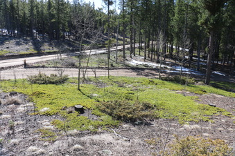 Enlarge photo 191