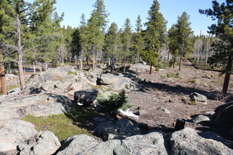 Enlarge photo 194