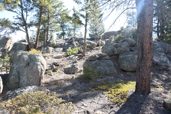 Enlarge photo 197