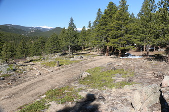Enlarge photo 213