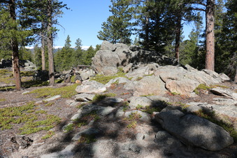 Enlarge photo 227