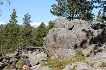 Enlarge photo 228