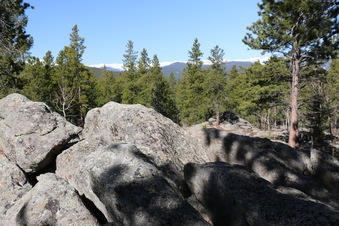 Enlarge photo 229