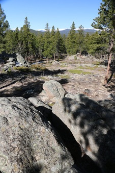 Enlarge photo 230