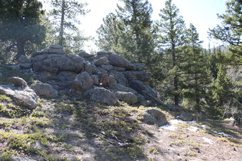 Enlarge photo 235