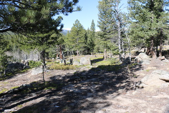 Enlarge photo 237