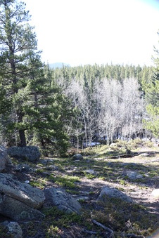 Enlarge photo 238