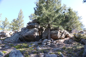 Enlarge photo 239