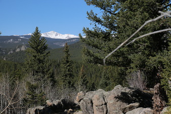 Enlarge photo 241
