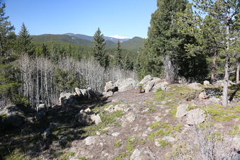 Enlarge photo 242