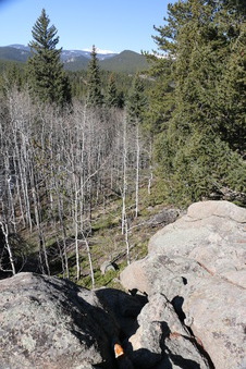Enlarge photo 245