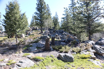 Enlarge photo 247