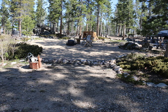 Enlarge photo 246