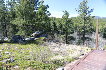 Enlarge photo 253