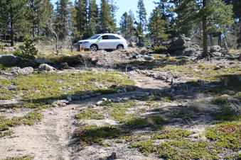 Enlarge photo 256