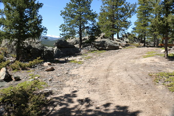 Enlarge photo 257
