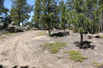 Enlarge photo 260