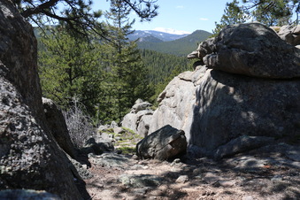 Enlarge photo 261