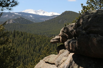 Enlarge photo 263