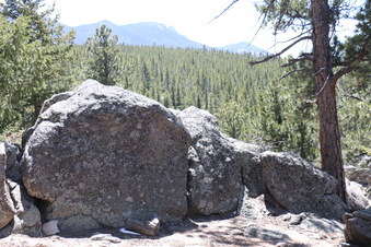 Enlarge photo 267