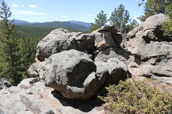 Enlarge photo 270