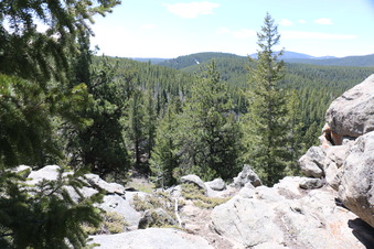Enlarge photo 269