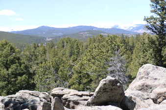 Enlarge photo 276